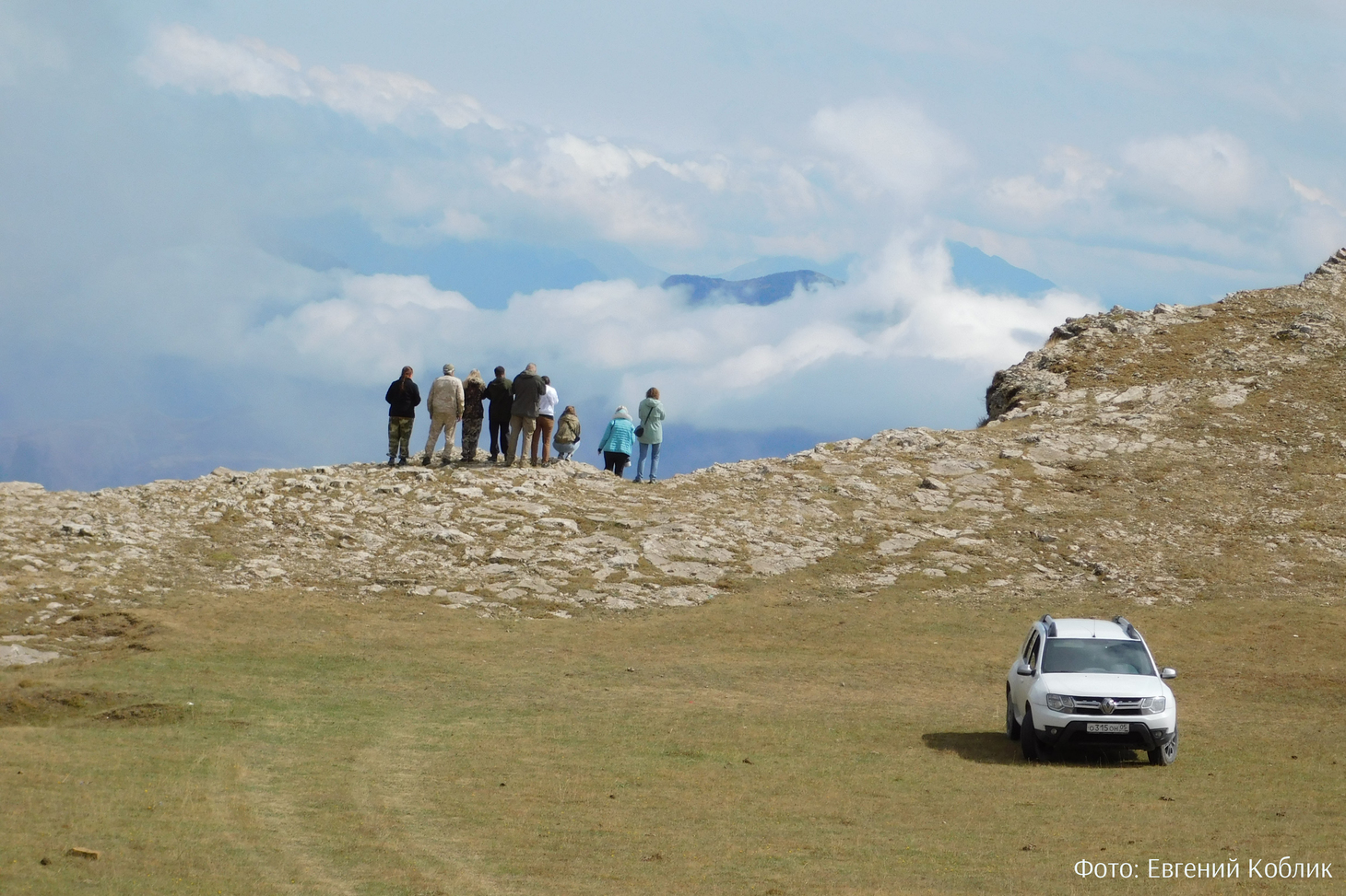 895 заседание Орнитологического семинара