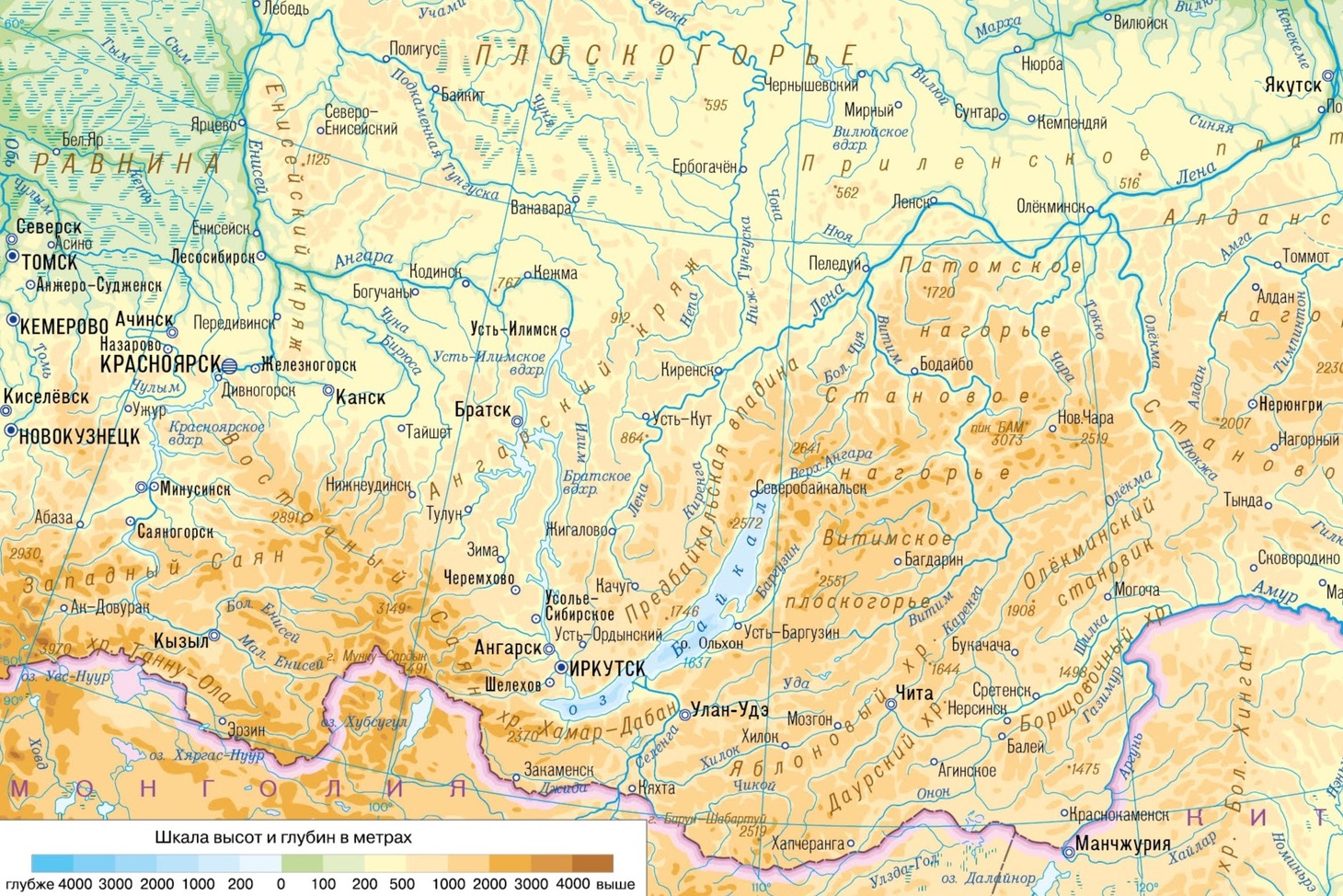 899 заседание Орнитологического семинара