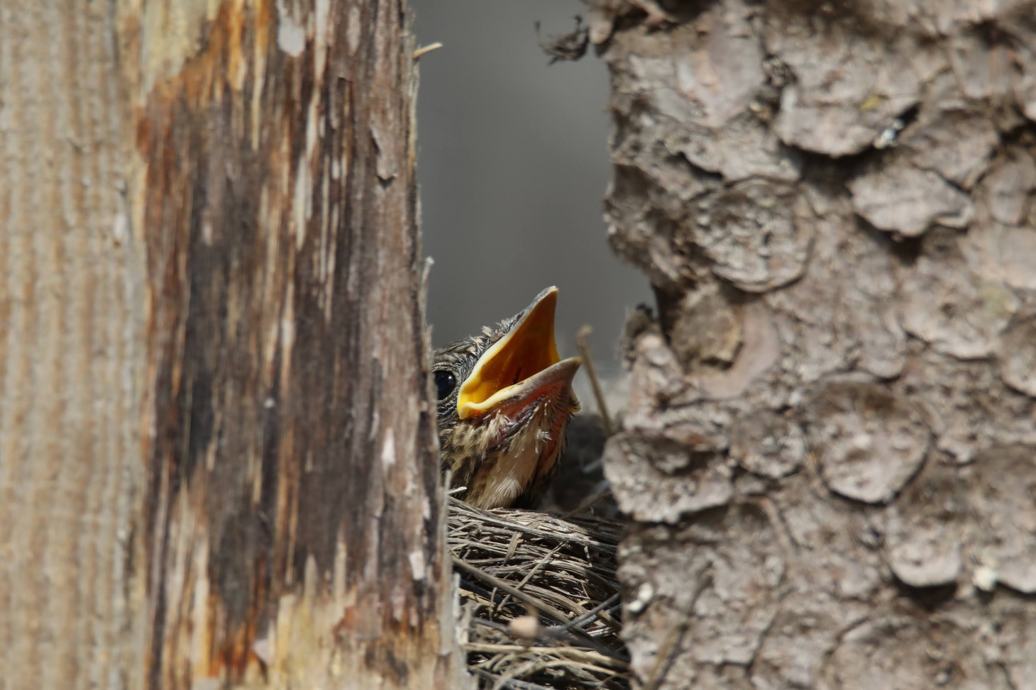 Портал начал работу